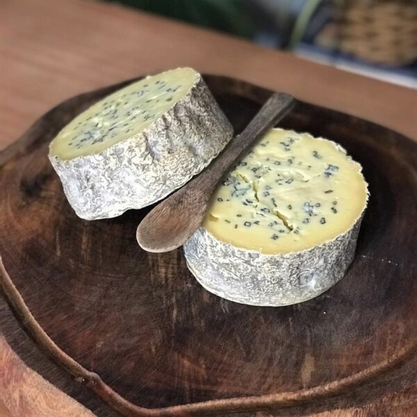 Gorgonzola